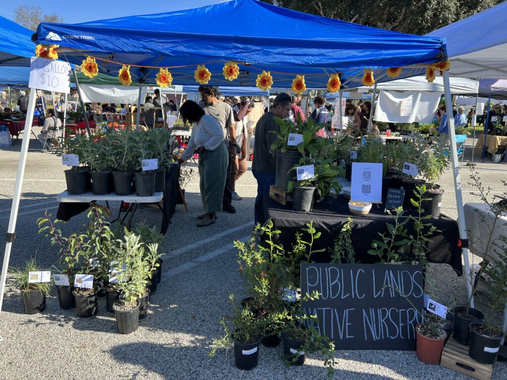 CURes Participates in Oxnard Native Plant Festival with Taft Gardens